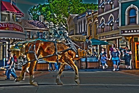 horse