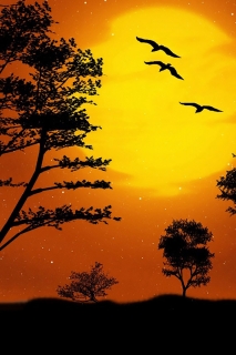 sunset-1