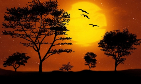 sunset
