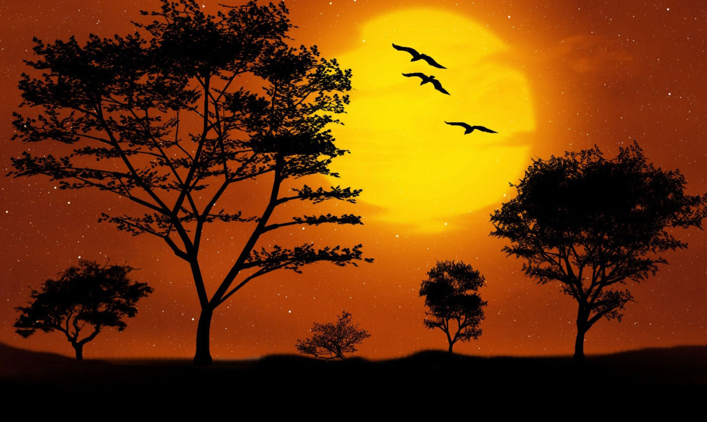 sunset